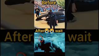 Jessica Radcliffe Video Jessica Radcliffe And Orca Attack Jessica Radcliffe Attacked By Orca