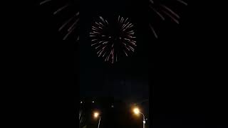 FESTA DI SAN ROCCO A CASTEL SAN PIETRO ROMANO 2019
