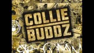 Watch Collie Buddz Sos video