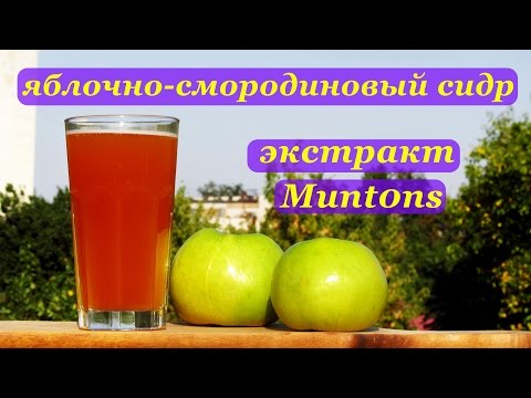 Домашнее вино из варенья на дрожжах в домашних условиях Домашнее вино из варенья на дрожжах в домашних условиях