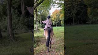 Come To The Yard With Me On An Autumn Day