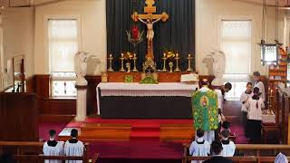 SSPXNZLIVE - Thirteenth Sunday after Pentecost Sung Mass - 30 August 2020