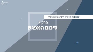 פרק 8 - סיכום המפגש הסינכרוני