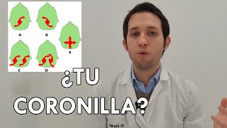 ¿Qué tipo de remolino tienes en la cabeza?