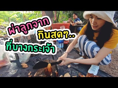 ผ่าลูกจาก แกะกินสดๆ ที่บางกระเจ้า | ลูกจากเชื่อม