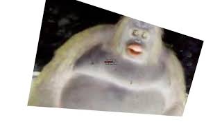 Preview 2 Uh Oh Stinky Effects Sponsored By Derp What The Flip Csupo Effects