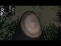 Horror - Slender Gameplay mit Facecam #1 - Let's Play Slenderman Game German