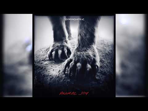 Animal Life Video