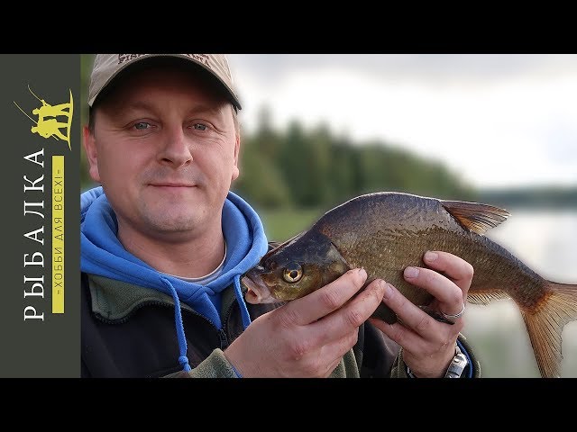 Рыбалка в Финляндии на фидер. Часть первая
