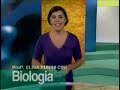 Vestibulando Digital - Biologia II - Aula 03 (1 de 2)