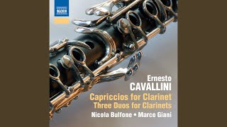 30 Capriccios No. 14 In E Minor, Op. 3, No. 4
