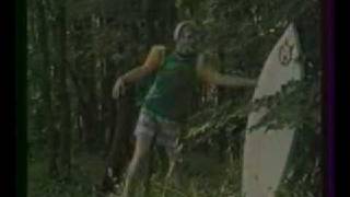 Washington Dead Cats - Surf & destroy