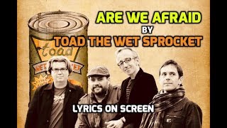 Watch Toad The Wet Sprocket Are We Afraid video