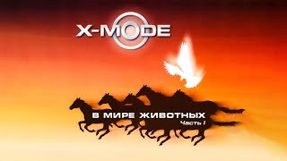 X-Mode - В Мире Животных, Ч. I (Весь Альбом)