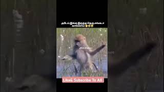 தரட வதயல தவத வநத தரவழன தரஞசக