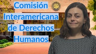 Qué Es La Cidh Y Cuáles Son Sus Funciones?
