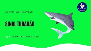 TUBARÃO - Libras