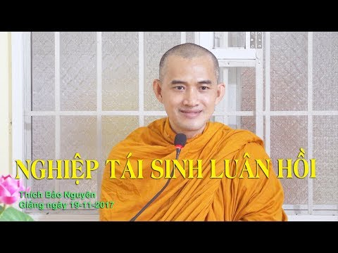 Nghiệp Tái Sinh Luân Hồi - Thích Bảo Nguyên