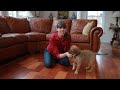 eHowPets