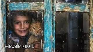 Taylan Kaya Tuğçe Baran Hayatıni Kaybetti