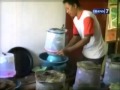 image Budidaya Kroto Hasilkan Pundi Pundi Rupiah Di Jombang Jawa Timur 8 April