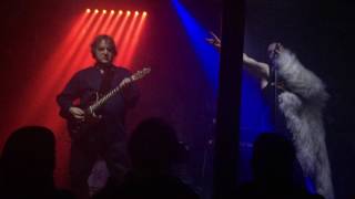 Watch Pig Everything video