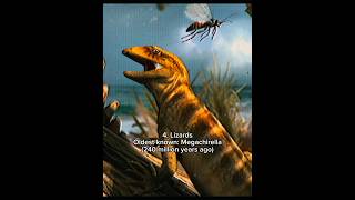 Animals That Have Lived On Earth For 400 Million Years