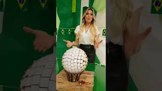 Bola Colorada - Ball Art - Ação Social - Homenagem à Renata Fan