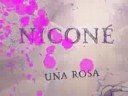 Nicone - Una rosa @ hugo