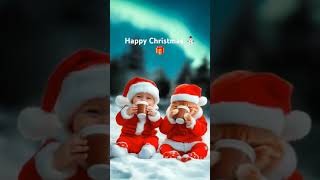 Cute Baby And Cat Mery Christmas