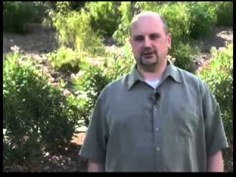 Metal Roofing Hints For Homeowners NAPS TV YouTube