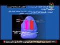 آايات تركيب البروتين