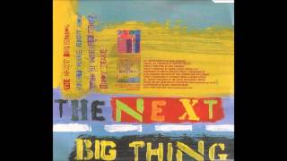 Watch Jesus Jones The Next Big Thing video