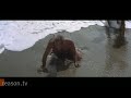 Government Shutdown: Planet of the Apes Remix