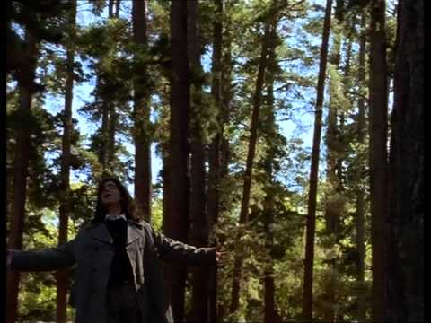 A Better Man Video