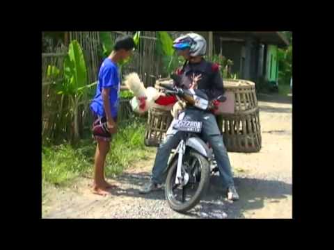 Lebih Baik Menabung di Bank