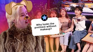 Momoland Answers Instagram 39 S Most Asked Questions Soompi Momoland Answers Instagram 39 S Most Asked Questions Soompi