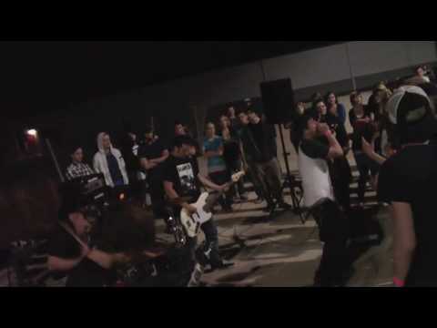 Chasin' Kelly Video