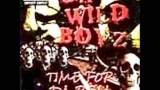 Watch Da Wild Boyz Ya Bitch You video