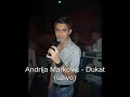 Andrija Markovic - Dukat (uzivo)