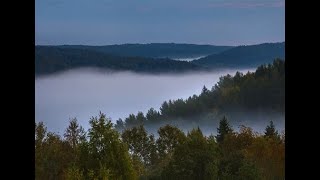 Mysterious Forest, Ancient People, And Russian President