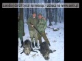 Polowanie na Dziki - Jak wygląda polowanie na Węgrzech.