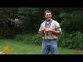 D.T. the Dog Training Video 12 | Introduction to E-Collar Conditioning