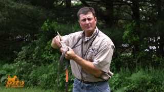 D.T. the Dog Training Video 12 | Introduction to E-Collar Conditioning
