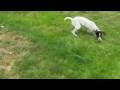 Daisy S Epic Movie images Daisy S Epic Movie
