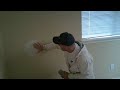idaho painters