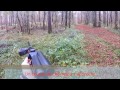 chasse