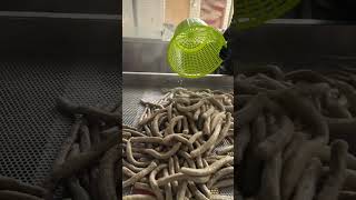 How Its Made - Fish Cracker
