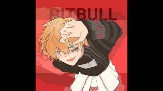 X Pitbull Terrier