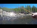 Yellowstone Fly Fishing Episode 3: The Gibbon River